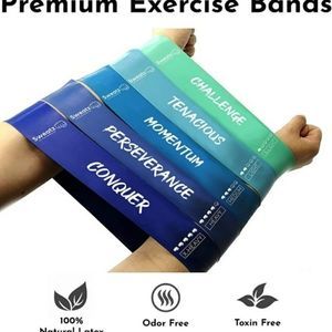 New Sweatz Set of 5 Premium 12" Resistance Exercise Bands with Carry Bag Unisex